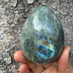 Labradorite Egg Home Accent Crystal